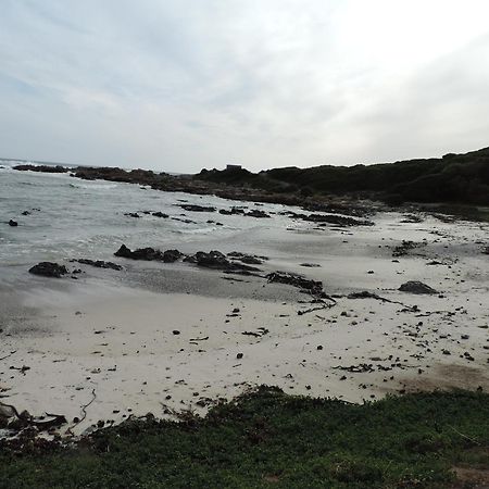 Wave Dancer Bed & Breakfast Gansbaai Eksteriør bilde