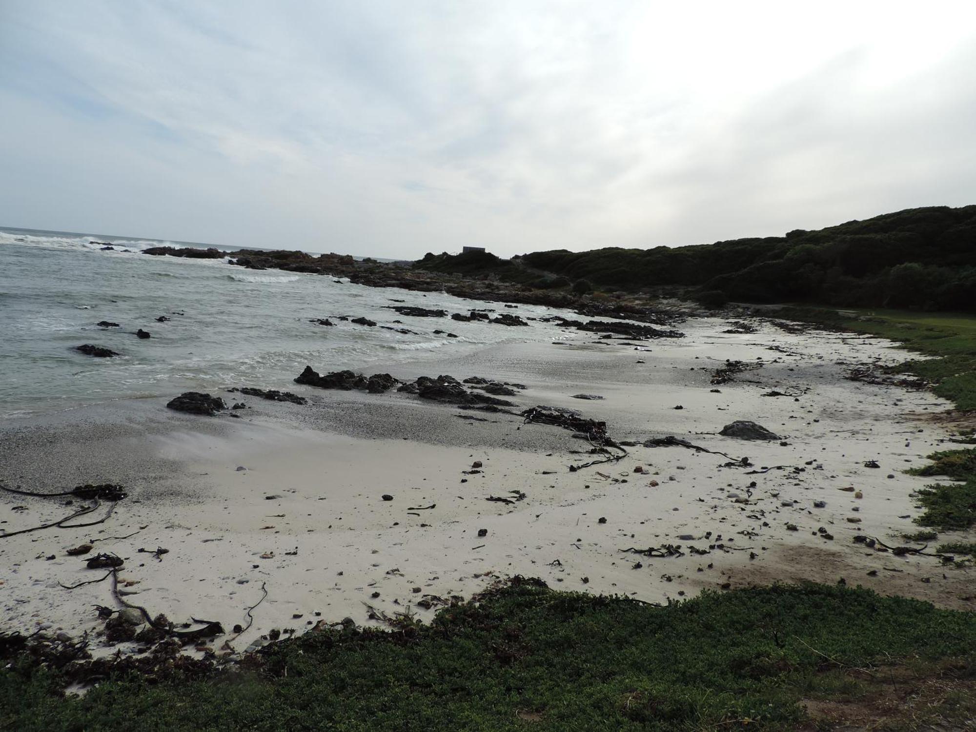 Wave Dancer Bed & Breakfast Gansbaai Eksteriør bilde